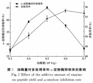 响应面法酶解藜麦蛋白制备α-淀粉酶抑制肽的工艺研究（二）