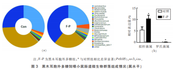 黑木耳胞外多糖对小鼠肠道微生态及免疫调节的影响(二)