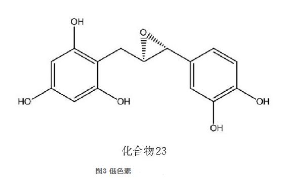 藏药俄色叶的化学成分及药理作用研究进展（二）