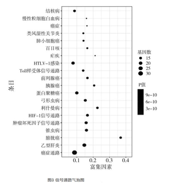 茵陈质量标志物的预测（二）