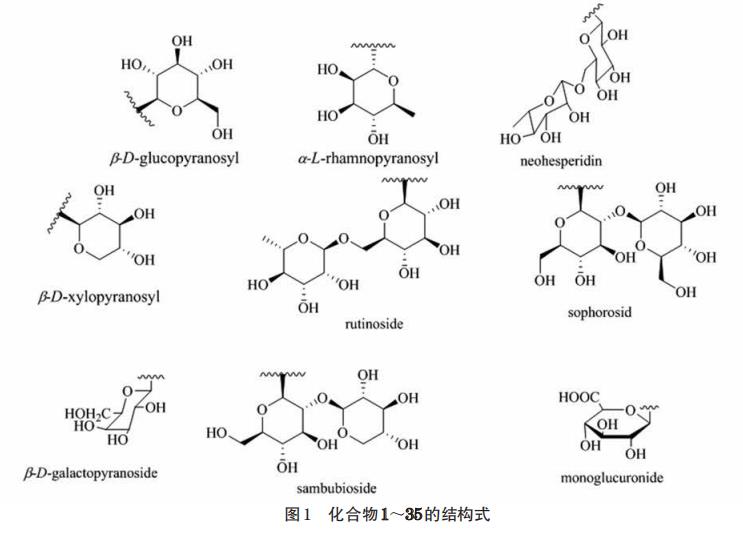 接骨木属植物化学成分和药理作用的研究进展（一）