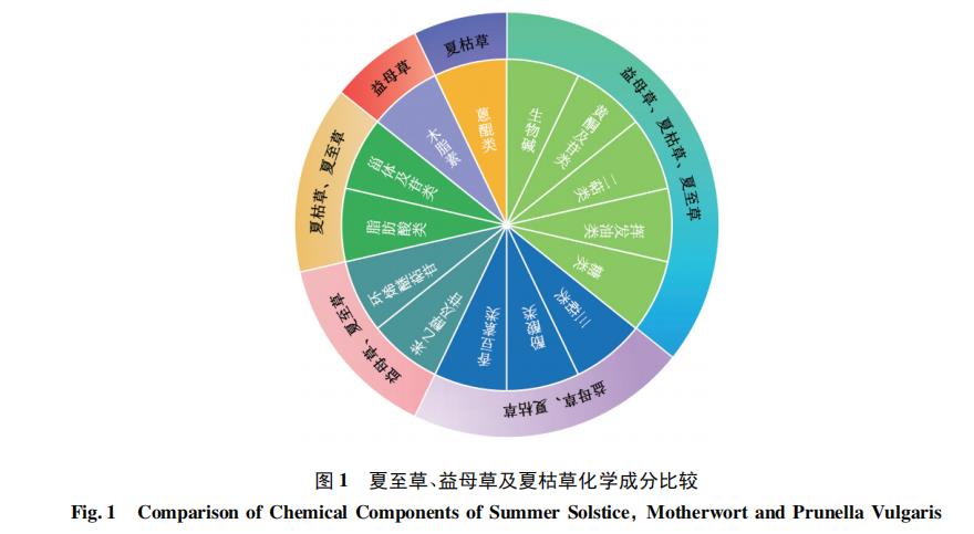 夏至草、益母草及夏枯草的化学成分及药理作用研究进展（一）