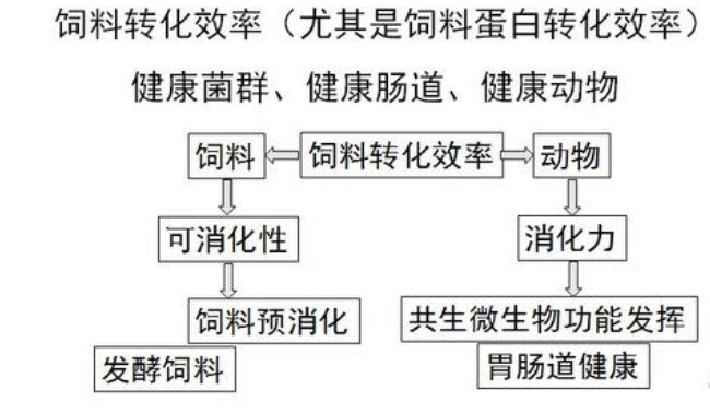 生物饲料及其替代和减少抗生素使用技术研究进展（一）