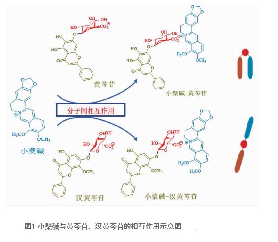 当归六黄汤的研究进展（二）