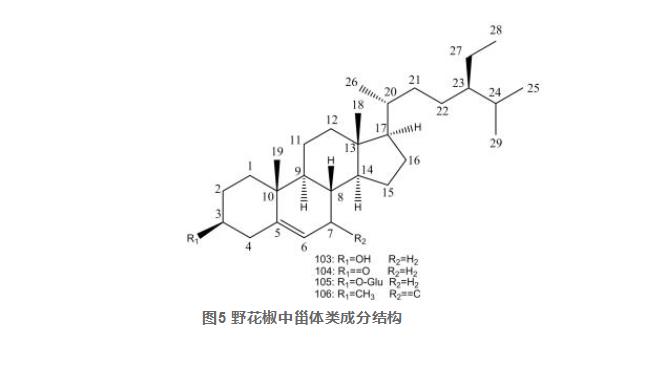 野花椒化学成分及药理作用研究进展（二）