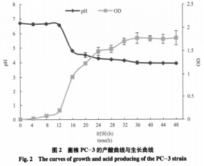 一株安徽本地泡菜中产细菌素乳酸菌的筛选与鉴定（二）