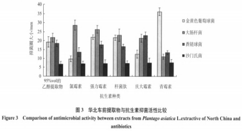 华北车前提取物的抑菌活性及其稳定性研究（二）