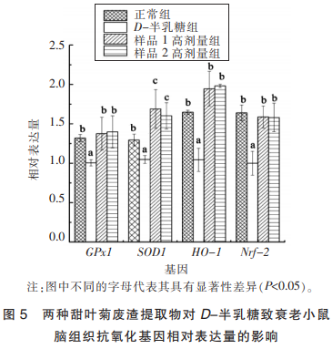 两种甜叶菊废渣提取物对D-半乳糖致衰老小鼠的抗氧化作用（三）