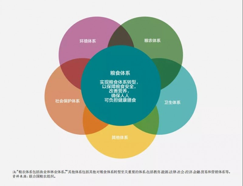 《2021年世界粮食安全和营养状况》中文版全文发布：疫情肆虐，全球饥饿人数激增